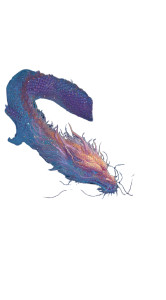 Stardust Dragon V2 Vinyl Car Decal Sticker – Waterproof & UV-Resistant 4.906666666666666"