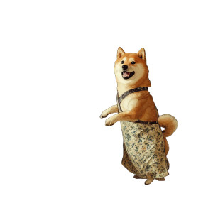 Cooking Shiba Inu V2 Vinyl Car Decal Sticker – Waterproof & UV-Resistant 6.826666666666667" Cooking Shiba Inu V2 Vinyl Car Decal Sticker – Waterproof & UV-Resistant 6.826666666666667"