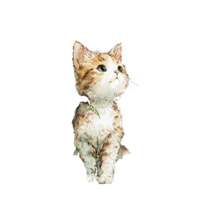 Happy Garden Cat V3 Vinyl Car Decal Sticker – Waterproof & UV-Resistant 6.826666666666667"