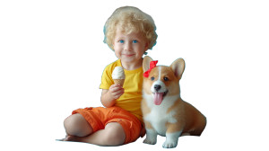 Blond Boy & Corgi Vinyl Car Decal Sticker – Waterproof & UV-Resistant 2.72"