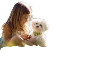 Girl With Puppy V4 Vinyl Car Decal Sticker – Waterproof & UV-Resistant 2.986666666666667"