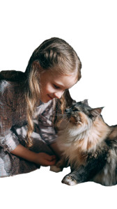 Girl With Cat V54 Vinyl Car Decal Sticker – Waterproof & UV-Resistant 4.8533333333333335" Girl With Cat V54 Vinyl Car Decal Sticker – Waterproof & UV-Resistant 4.8533333333333335"