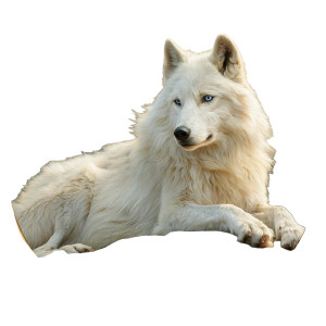 Moonlit White Wolf Vinyl Car Decal Sticker – Waterproof & UV-Resistant 3.4133333333333336"