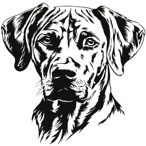 Ridgeback Dog Head Vinyl Car Decal Sticker – Waterproof & UV-Resistant 6.826666666666667"