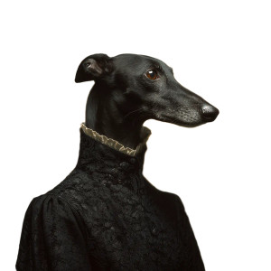 Elegant Greyhound Surrealism Vinyl Car Decal Sticker – Waterproof & UV-Resistant 3.4133333333333336"