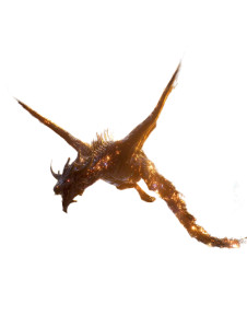 Black Dragon Flight V2 Vinyl Car Decal Sticker – Waterproof & UV-Resistant 4.1066666666666665"