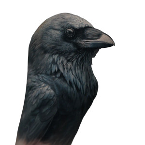 Hyper Realism Crow Tattoo Vinyl Car Decal Sticker – Waterproof & UV-Resistant 3.4133333333333336"