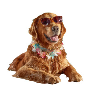 Golden Retriever Relaxing V7 Vinyl Car Decal Sticker – Waterproof & UV-Resistant 3.4133333333333336"
