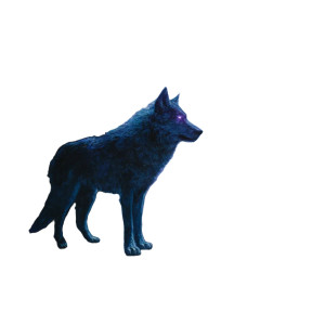 Galactic Wolf Vinyl Car Decal Sticker – Waterproof & UV-Resistant 3.4133333333333336" Galactic Wolf Vinyl Car Decal Sticker – Waterproof & UV-Resistant 3.4133333333333336"