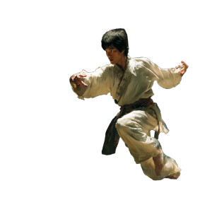 Martial Artist Vinyl Car Decal Sticker – Waterproof & UV-Resistant 3.4133333333333336" Martial Artist Vinyl Car Decal Sticker – Waterproof & UV-Resistant 3.4133333333333336"