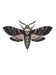 Gothic-Botanical Crest Vinyl Car Decal Sticker – Waterproof & UV-Resistant 8.213333333333333"