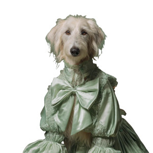 Fashionable Wolfhound Vinyl Car Decal Sticker – Waterproof & UV-Resistant 3.4133333333333336"