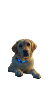 Yellow Labrador Window Vinyl Car Decal Sticker – Waterproof & UV-Resistant 4.8533333333333335"