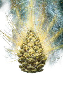 Golden Magic Pinecone Vinyl Car Decal Sticker – Waterproof & UV-Resistant 4.266666666666667"