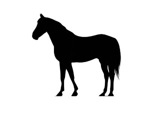 Horse Icon Vinyl Car Decal Sticker – Waterproof & UV-Resistant 6.1866666666666665" Horse Icon Vinyl Car Decal Sticker – Waterproof & UV-Resistant 6.1866666666666665"
