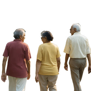 Elderly Walkers In Park Vinyl Car Decal Sticker – Waterproof & UV-Resistant 6.826666666666667" Elderly Walkers In Park Vinyl Car Decal Sticker – Waterproof & UV-Resistant 6.826666666666667"