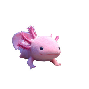 Pink Axolotl Relaxing Vinyl Car Decal Sticker – Waterproof & UV-Resistant 3.4133333333333336"