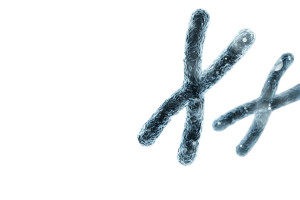 Genetic Silhouettes Vinyl Car Decal Sticker – Waterproof & UV-Resistant 5.97333333333333