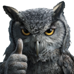 Menacing Owl Vinyl Car Decal Sticker – Waterproof & UV-Resistant 3.4133333333333336"