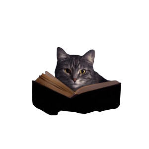 Reading Cat V22 Vinyl Car Decal Sticker – Waterproof & UV-Resistant 6.826666666666667" Reading Cat V22 Vinyl Car Decal Sticker – Waterproof & UV-Resistant 6.826666666666667"