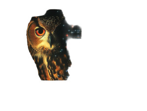 Digital Owl Vinyl Car Decal Sticker – Waterproof & UV-Resistant 6.1866666666666665"
