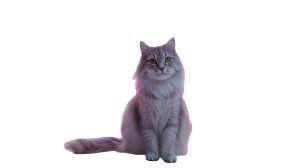 Futuristic Lab Cat Vinyl Car Decal Sticker – Waterproof & UV-Resistant 2.72"
