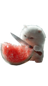 Cat Chef Slicing Watermelon Vinyl Car Decal Sticker – Waterproof & UV-Resistant 4.8533333333333335" Cat Chef Slicing Watermelon Vinyl Car Decal Sticker – Waterproof & UV-Resistant 4.8533333333333335"
