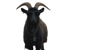 Stylish Goat Portrait V2 Vinyl Car Decal Sticker – Waterproof & UV-Resistant 5.4 Stylish Goat Portrait V2 Vinyl Car Decal Sticker – Waterproof & UV-Resistant 5.4