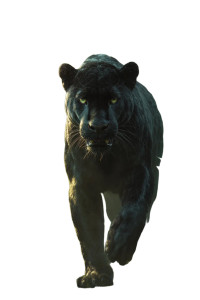 Sleek Black Panther V2 Vinyl Car Decal Sticker – Waterproof & UV-Resistant 4.4