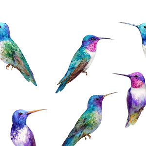Watercolor Hummingbirds V2 Vinyl Car Decal Sticker – Waterproof & UV-Resistant 6.826666666666667"