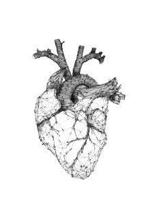 Wire Heart Vinyl Car Decal Sticker – Waterproof & UV-Resistant 8.6