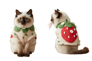 Siamese Kitten Costume Vinyl Car Decal Sticker – Waterproof & UV-Resistant 5.97333333333333
