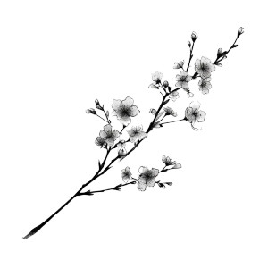 Cherry Blossom Branch V11 Vinyl Car Decal Sticker – Waterproof & UV-Resistant 3.4133333333333336" Cherry Blossom Branch V11 Vinyl Car Decal Sticker – Waterproof & UV-Resistant 3.4133333333333336"