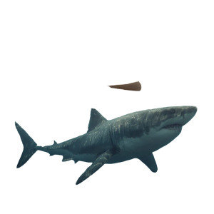 Canoeing With Megalodon Vinyl Car Decal Sticker – Waterproof & UV-Resistant 3.4133333333333336"