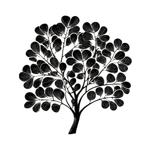 Bold Moringa Tree Vinyl Car Decal Sticker – Waterproof & UV-Resistant 3.4133333333333336"