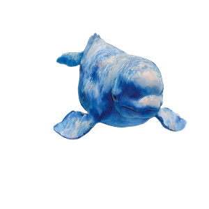 Watercolour Beluga Whale Vinyl Car Decal Sticker – Waterproof & UV-Resistant 3.4133333333333336"