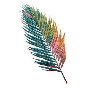Pinnate Palm Leaf Vinyl Car Decal Sticker – Waterproof & UV-Resistant 3.4133333333333336"