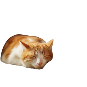 Resting Cat Feast Vinyl Car Decal Sticker – Waterproof & UV-Resistant 3.4133333333333336" Resting Cat Feast Vinyl Car Decal Sticker – Waterproof & UV-Resistant 3.4133333333333336"