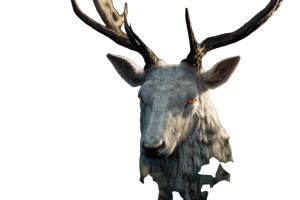 White Deer V2 Vinyl Car Decal Sticker – Waterproof & UV-Resistant 2.986666666666667"