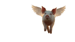Winged Pig Sunset Vinyl Car Decal Sticker – Waterproof & UV-Resistant 2.72"