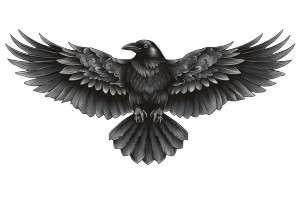 Stylized Raven V2 Vinyl Car Decal Sticker – Waterproof & UV-Resistant 2.986666666666667"