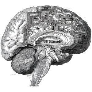 Brain With Neuronet Implant V2 Vinyl Car Decal Sticker – Waterproof & UV-Resistant 6.826666666666667" Brain With Neuronet Implant V2 Vinyl Car Decal Sticker – Waterproof & UV-Resistant 6.826666666666667"