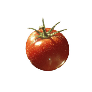 Space Tomato Vinyl Car Decal Sticker – Waterproof & UV-Resistant 3.4133333333333336"