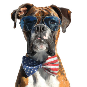 Stylish Boxer Dog Vinyl Car Decal Sticker – Waterproof & UV-Resistant 6.826666666666667"