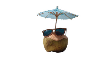 Coconut In Sunglasses Vinyl Car Decal Sticker – Waterproof & UV-Resistant 2.986666666666667"