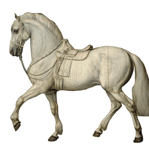 Lipizzaner Dressage Horse Vinyl Car Decal Sticker – Waterproof & UV-Resistant 3.4133333333333336" Lipizzaner Dressage Horse Vinyl Car Decal Sticker – Waterproof & UV-Resistant 3.4133333333333336"
