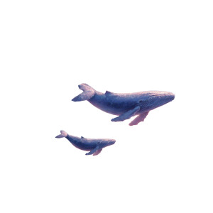 Sky Whales Vinyl Car Decal Sticker – Waterproof & UV-Resistant 3.4133333333333336" Sky Whales Vinyl Car Decal Sticker – Waterproof & UV-Resistant 3.4133333333333336"