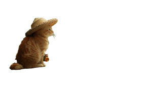 Fishing Tabby Cat Vinyl Car Decal Sticker – Waterproof & UV-Resistant 5.4