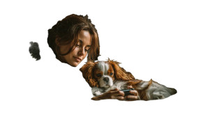 Cozy Companionship Vinyl Car Decal Sticker – Waterproof & UV-Resistant 5.4