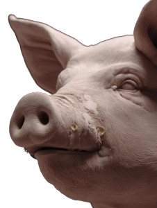 Pigs With Scallions Vinyl Car Decal Sticker – Waterproof & UV-Resistant 4.1066666666666665"